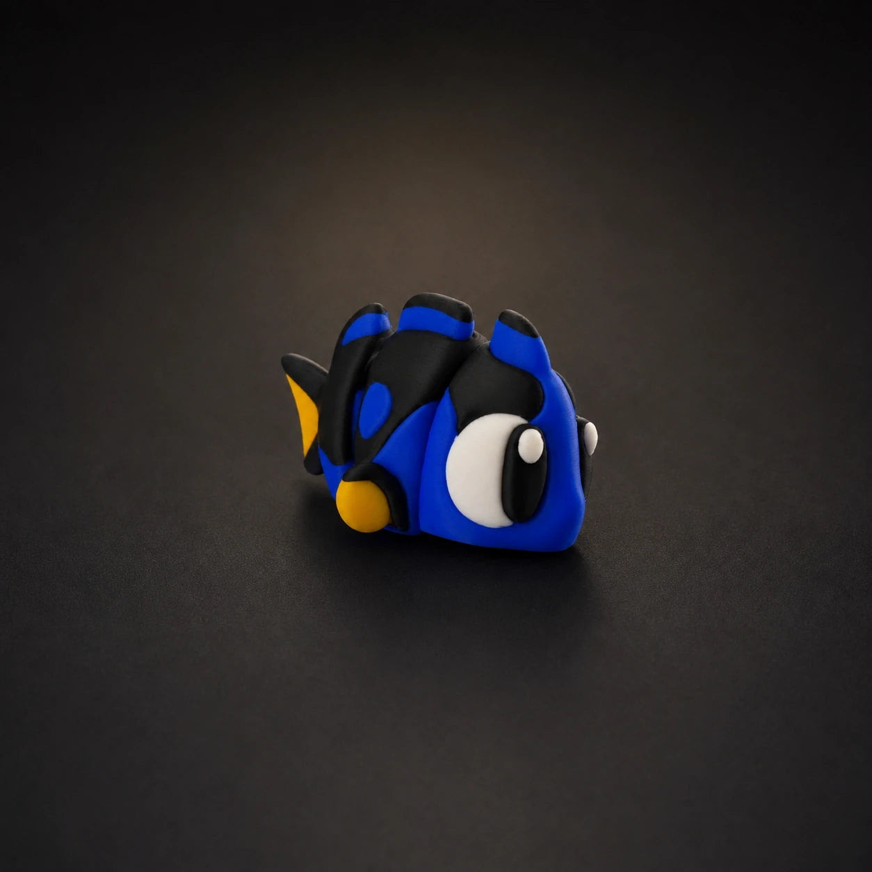Baby Surgeonfish