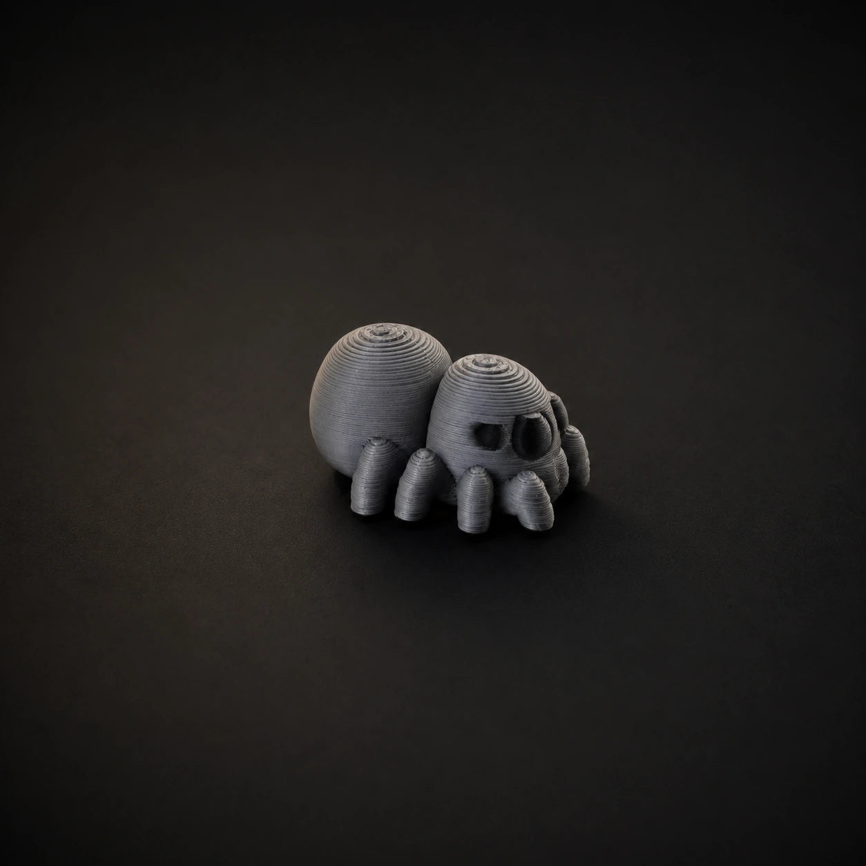 Baby Spider